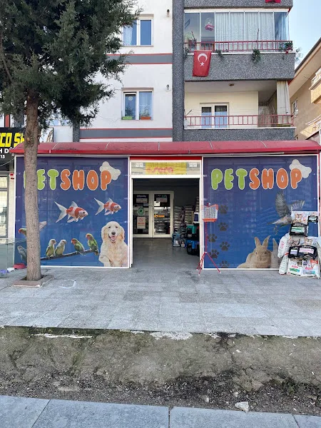 Mango Akvaryum ve Petshop foto 1