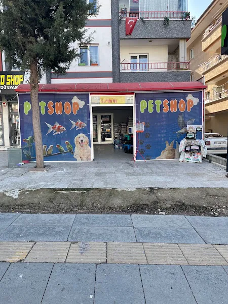 Mango Akvaryum ve Petshop foto 2