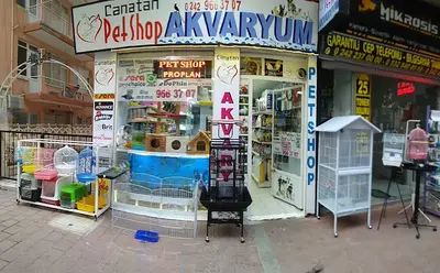 Canatan Petshop Akvaryum