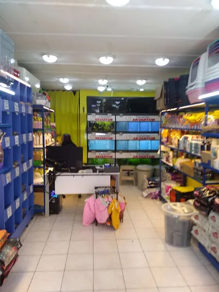 Canatan Petshop Akvaryum foto 2