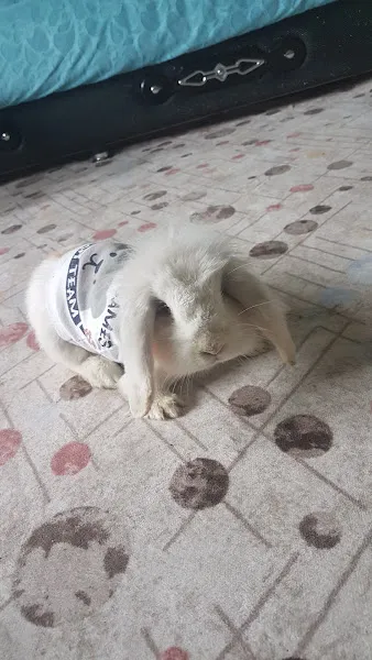 Kanka Akvaryum foto 2