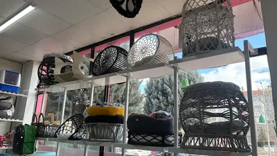 Konya Petland Petshop
