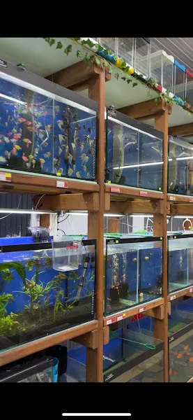 Noble Petshop ve akvaryum foto 2