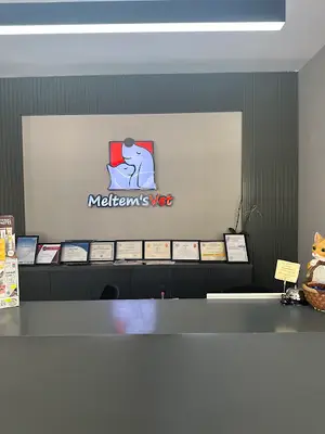 Alanya Meltem's Veteriner Kliniği / Ветеринар / Petshop / Grooming / зоомагазин / Аптека