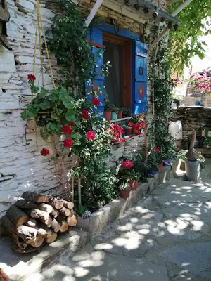 Kaplan Nirvana Pansiyon/Otel Tire İzmir