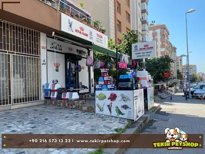 Tekir Petshop