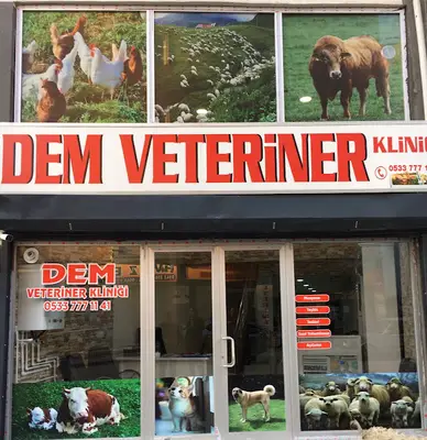 Dem-Vet Veteriner Kliniği