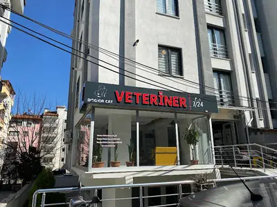 DogtorCat Veteriner Kliniği