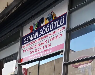 Osman Söğütlü