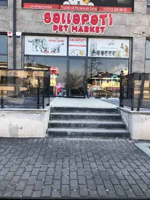 Salla Pati Petshop Ve Kedi Oteli Yenikent Şube