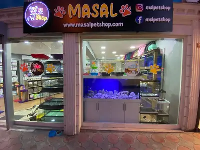 Masal Petshop