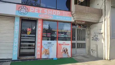 CASTİEL PET SHOP & AKVARYUM