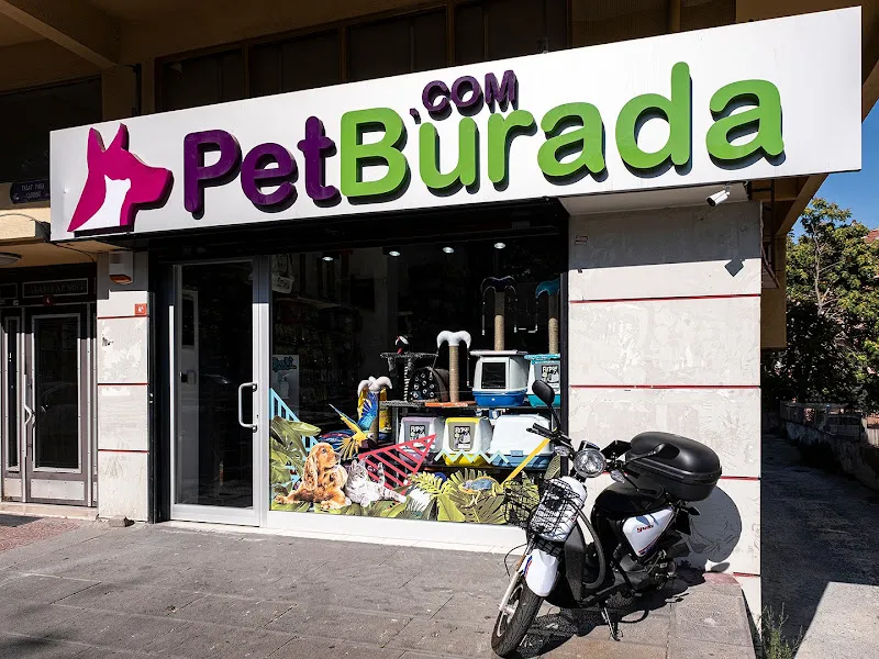 Discover Pet Shop Akvaryum foto 1