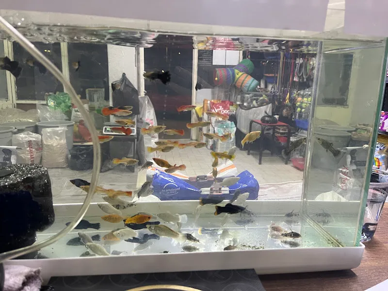 Umutcan Petshop foto 2