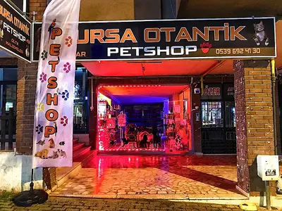 Bursa Otantik Petshop fotoğrafı