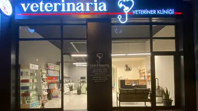 Veterinaria Veteriner Kliniği - Sakarya Adapazarı