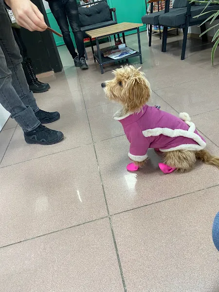 Sanatoryum Veteriner Kliniği foto 2