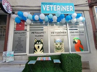 Petuluvet Yıldırım Veteriner Kliniği