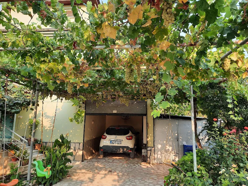 Veteriner Kliniği & Gümüş Home Günlük Konaklama foto 2