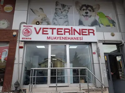Meandros Veteriner Kliniği Çekmeköy