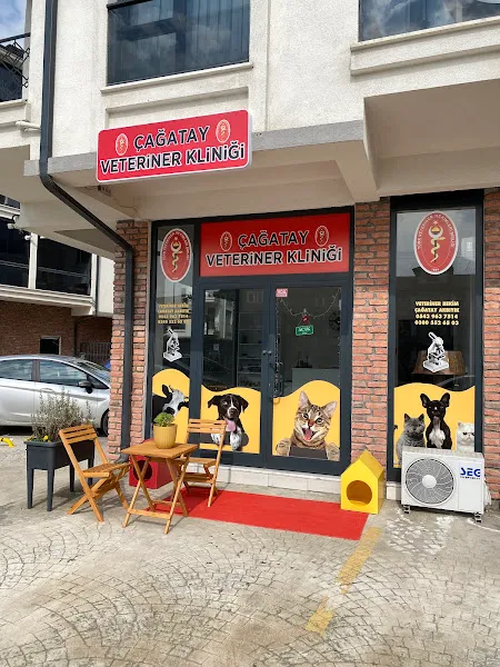 Çağatay Veteriner Kliniği foto 2