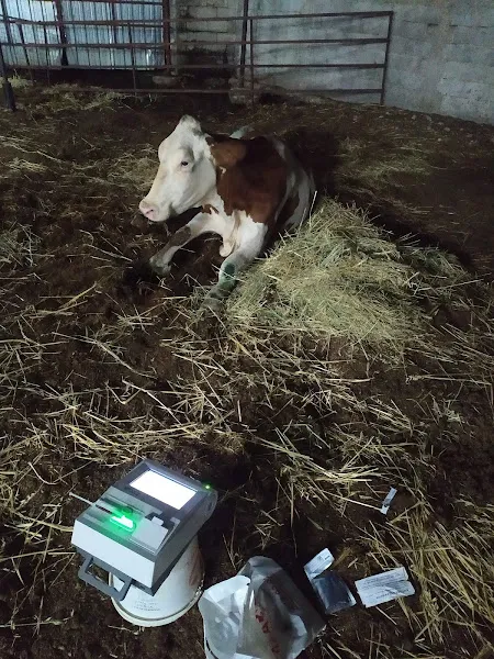 Ata Veteriner Kliniği foto 2