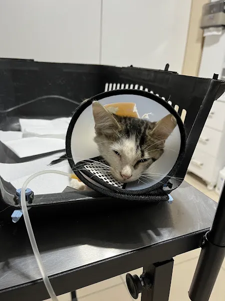 Öztürk Veteriner Kliniği foto 2