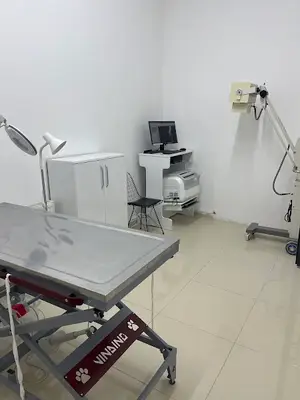 Vetgold Veteriner Kliniği Seydişehir