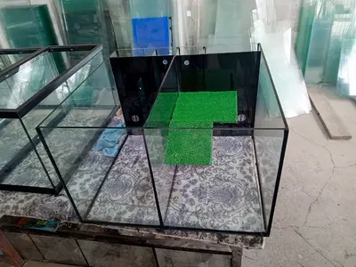 Yağmur Akvaryum