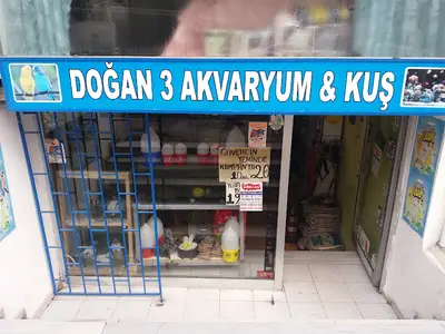 Doğan 3 Akvaryum & Kuş