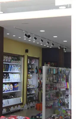 Meraklı Pati Pet Shop One Tower
