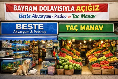 Beste akvaryum petshop