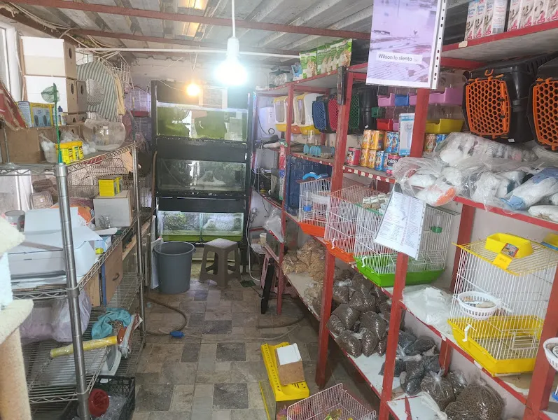Beste akvaryum petshop foto 2