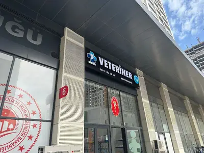 Pet Heal Veteriner Kliniği - Fikirtepe 7/24 Acil