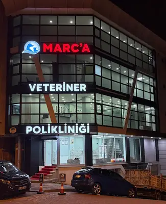Sefaköy Veteriner - Marca Veteriner Polikliniği | Küçükçekmece Veteriner | 24 Saat Açık Veteriner | Acil Veteriner