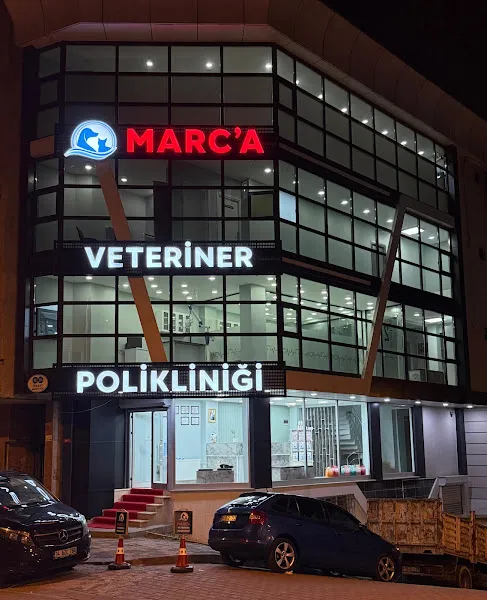 Sefaköy Veteriner - Marca Veteriner Polikliniği | Küçükçekmece Veteriner | 24 Saat Açık Veteriner | Acil Veteriner foto 1