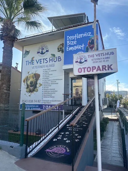 VetPort Veteriner Kliniği foto 1