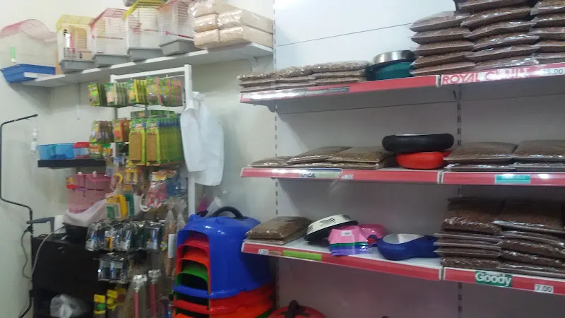 Ömür Petshop foto 2