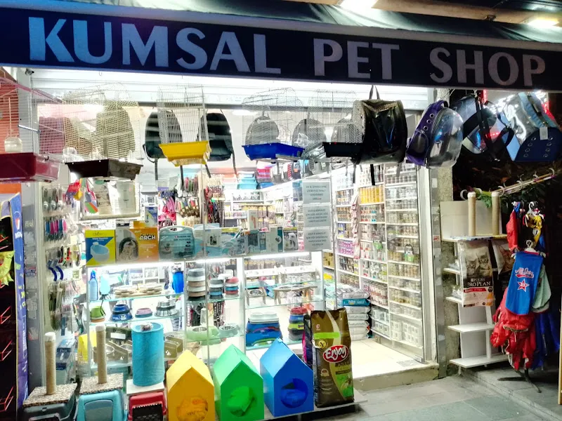 KUMSAL PETSHOP foto 2