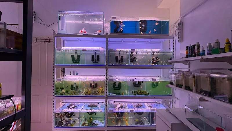 No Name Petshop & Akvaryum foto 2