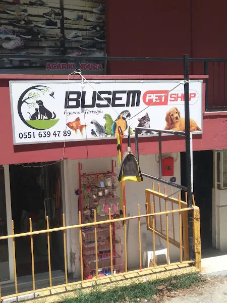 Busem petshop foto 1
