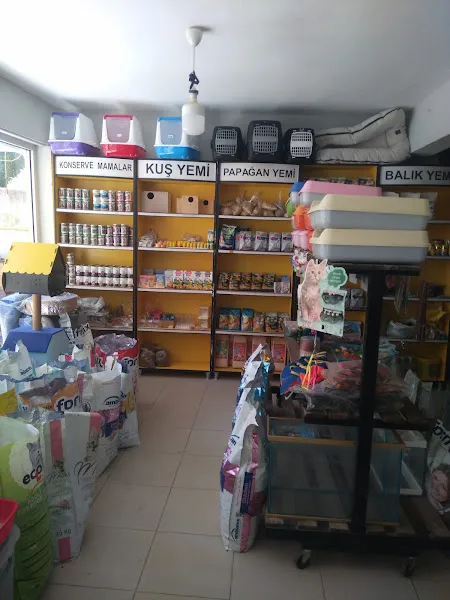 Busem petshop foto 2