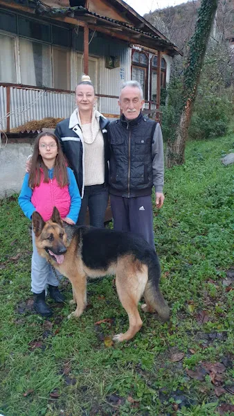 Pet Klinik Karamürsel foto 2