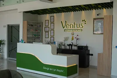 Ventus Veteriner Polikliniği Darıca (Bayramoğlu)