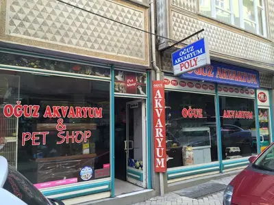 Oguz Akvaryum