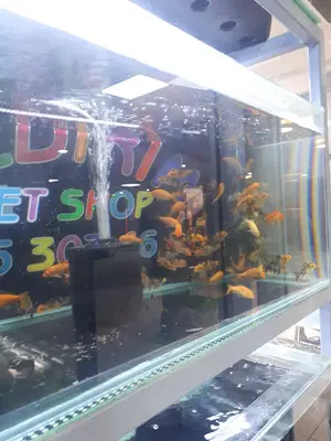 Yıldırım petshop