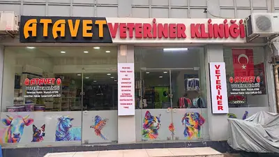Akçay Veteriner Kliniği
