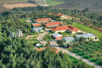 B.D.K.K.Y.B. Bırlık Hayvan Hastahanesı