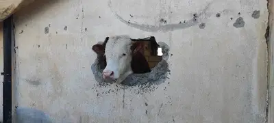 GÜLŞEN VETERİNER KLİNİĞİ