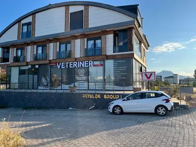 PetAntalya Veteriner Kliniği